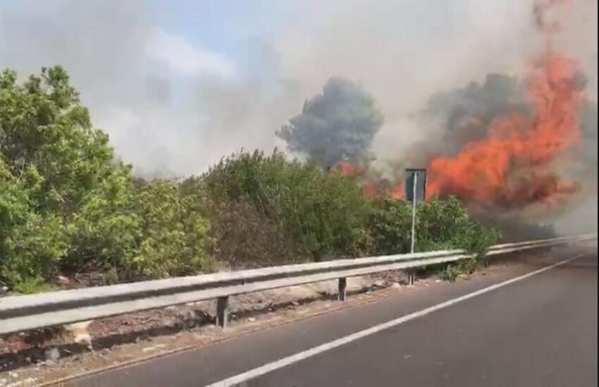 Il Salento brucia ancora, a rogo uliveto di 50 ettari