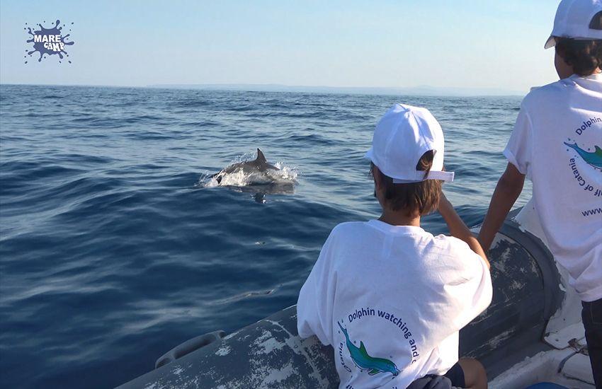MareCamp: il monitoraggio delle specie marine protette del golfo di Catania condensato in un video