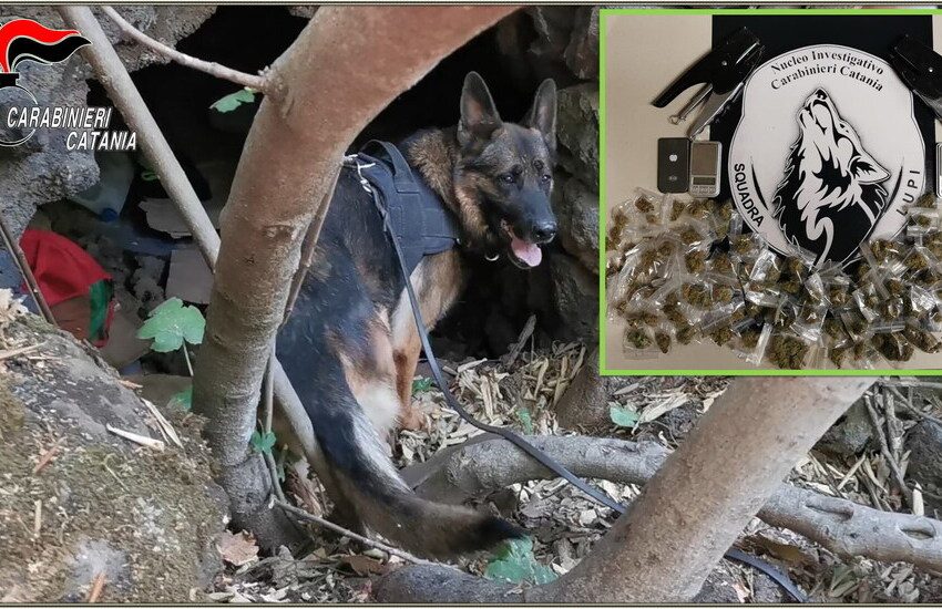 [VIDEO] Catania, scoperta una grotta “stupefacente”: in manette pusher-percettore del RDC