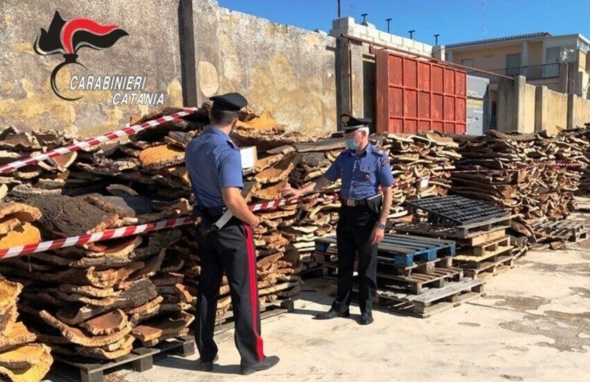 Caltagirone, Avevano “spogliato” il sughereto della riserva naturale di Santo Pietro: 8 denunciati