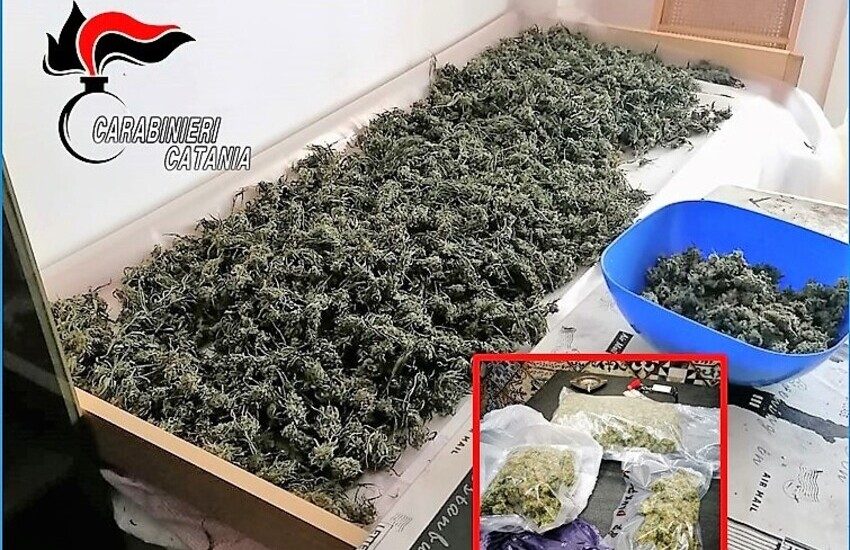 Mascali, Maxi Blitz antidroga, sequestrati 9 kg di marijuana a Giardini Naxos