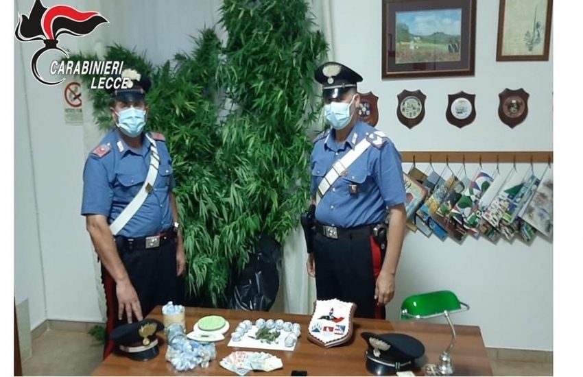 Sorpreso a innaffiare piante di cannabis, arrestato per spaccio 60enne
