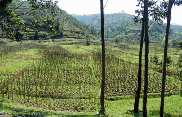 Rwanda: muore Théoneste Bagosora, figura di spicco dell’esercito durante le atrocità del 1994 (800mila uccisioni in cento giorni)