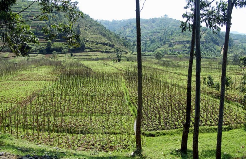 Rwanda: muore Théoneste Bagosora, figura di spicco dell’esercito durante le atrocità del 1994 (800mila uccisioni in cento giorni)