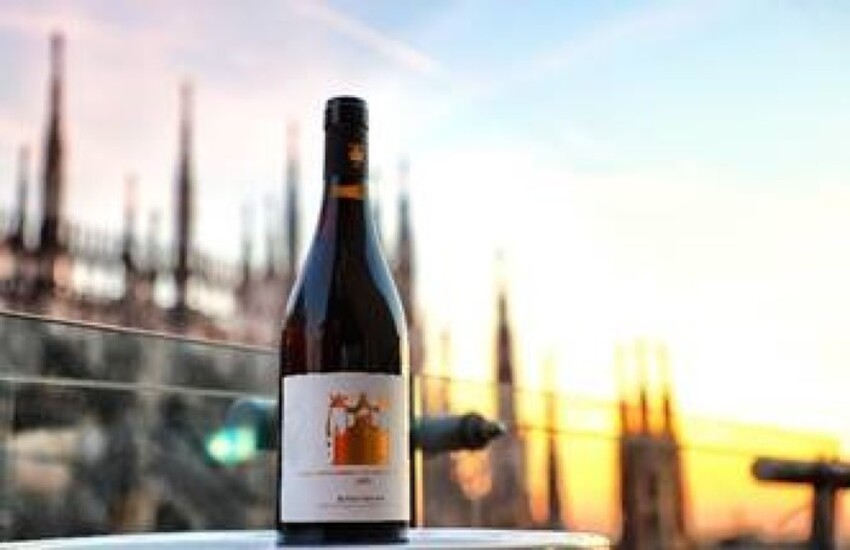 Milano: Nasce il ‘vino del Duomo’, finanzierà restauro Cattedrale