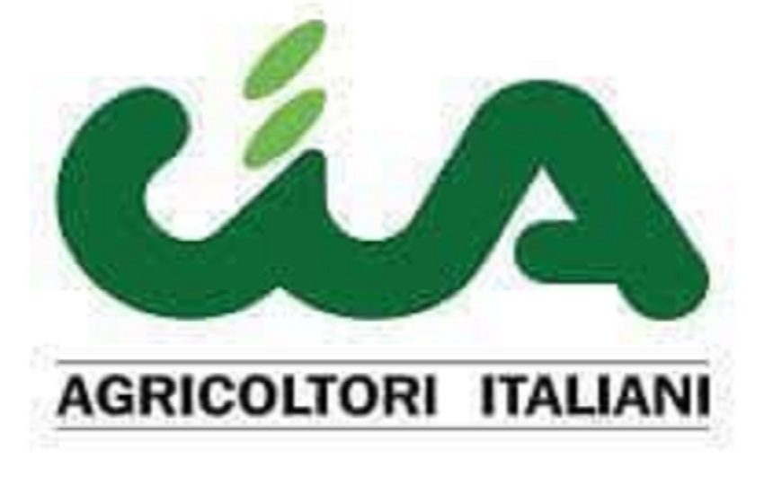 Riunione giunta alla Cia Catania, progetti Pnrr bocciati: chiesto confronto con la Regione