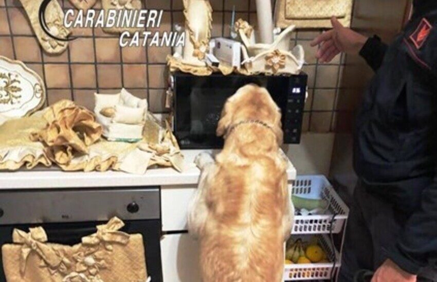 Paternò, preso pusher 26enne del posto, i carabinieri bussano alla porta lui cerca di gettare la droga dal balcone