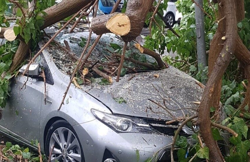 Vittoria: grosso ramo schiaccia auto parcheggiata di fronte allo stadio comunale