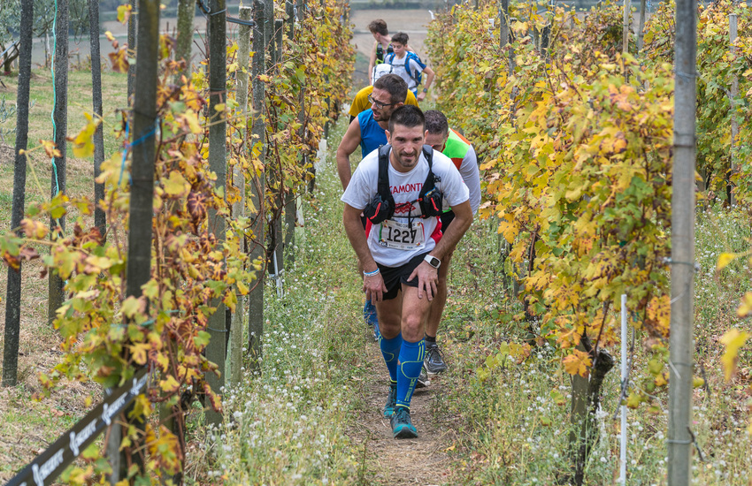 Ecomaratona del Chianti Classico, di corsa tra le vigne. Appuntamento il 17 ottobre