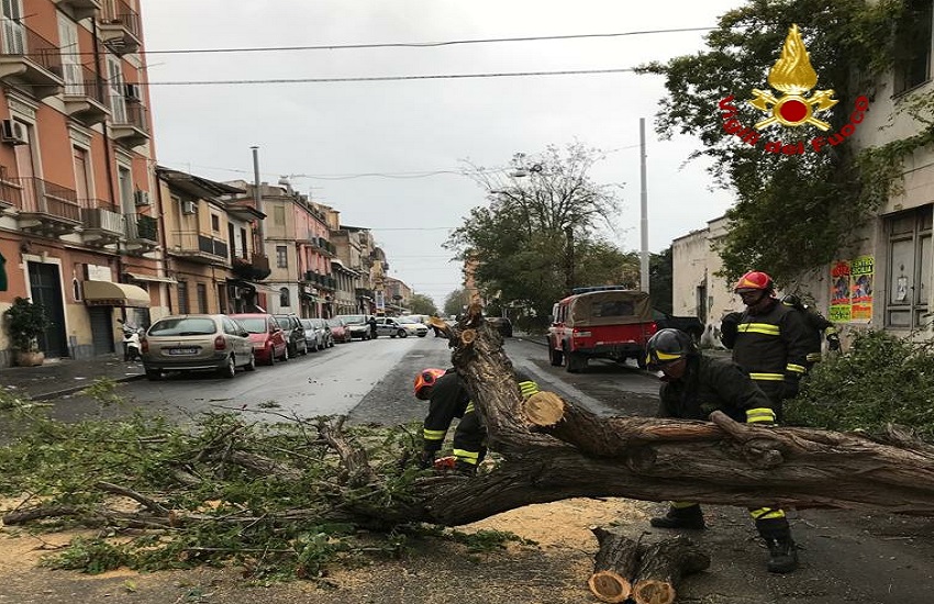 Forte vento e maltempo a Catania e provincia: alberi pericolanti in via della Concordia – FOTO