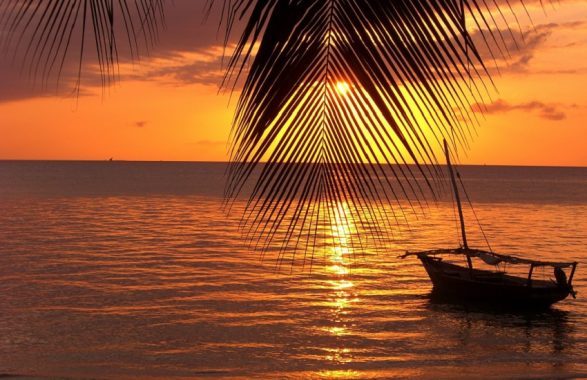 Destino del rifugiato, Nobel per la letteratura a scrittore africano: un solo libro tradotto in Italia