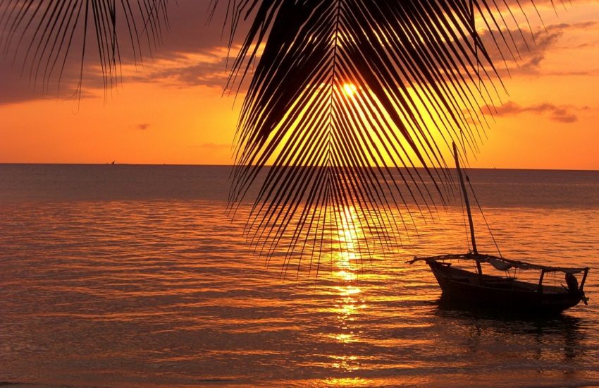 Destino del rifugiato, Nobel per la letteratura a scrittore africano: un solo libro tradotto in Italia