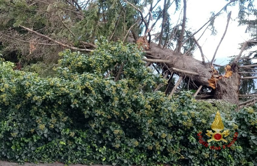 Randazzo, albero crolla su una casa, mezzo pesante va a fuoco: tragedia sfiorata – FOTO