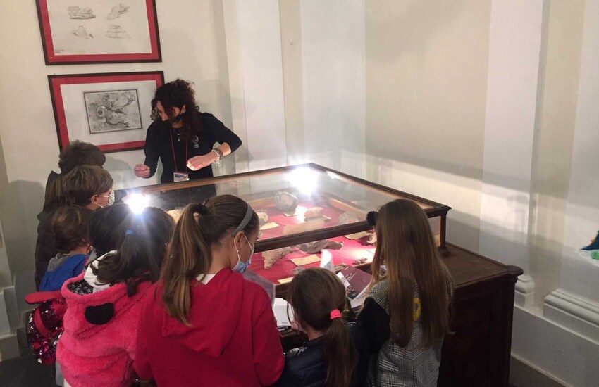 Catania, la fiaba dell’elefantino per scoprire l’Università