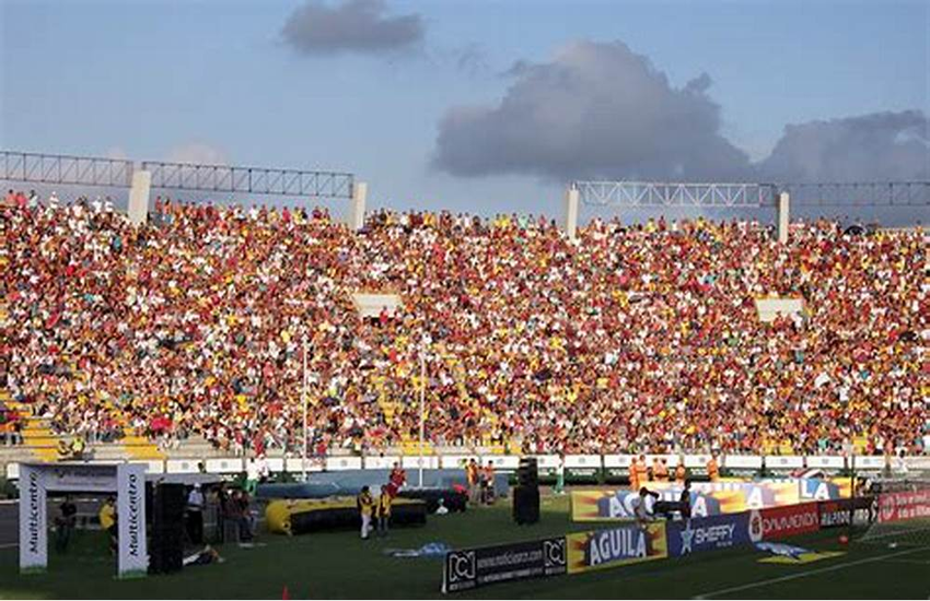 Lecce, Damiani: “Lo stadio vuoto è desolante, abbasserò i prezzi dei biglietti. Conta più il Via del Mare pieno”