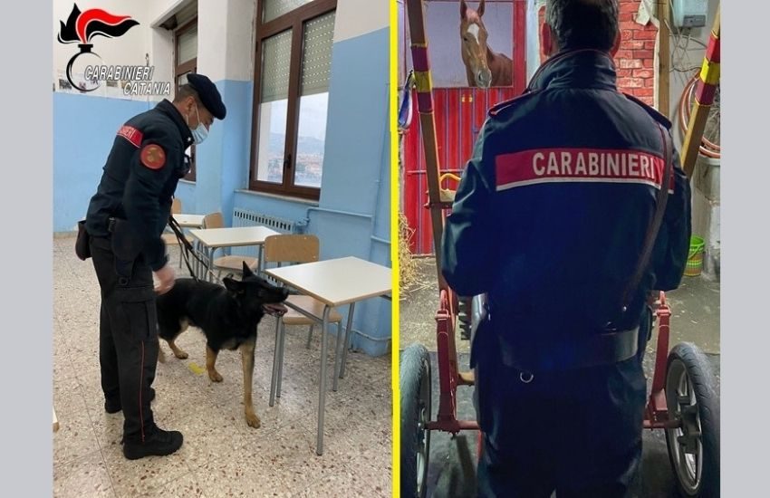 Catania, contrasto all’illegalità, controlli antidroga nelle scuole