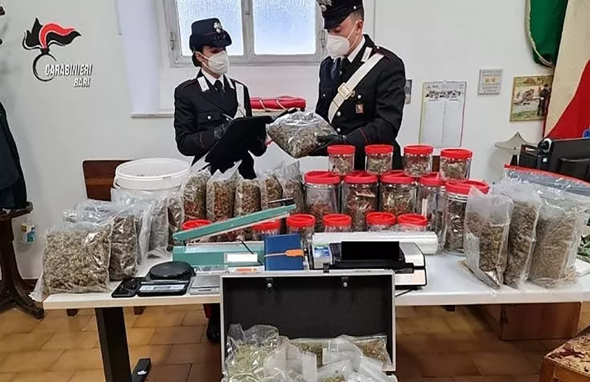 Bari, nascondevano 12 chili di marijuana divisa ed etichettata per fragranza: arrestata coppia