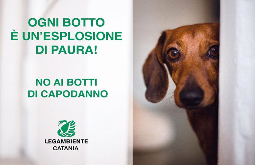 Legambiente al sindaco di Catania: “Urge ordinanza contro i botti a tutela di ambiente e animali”