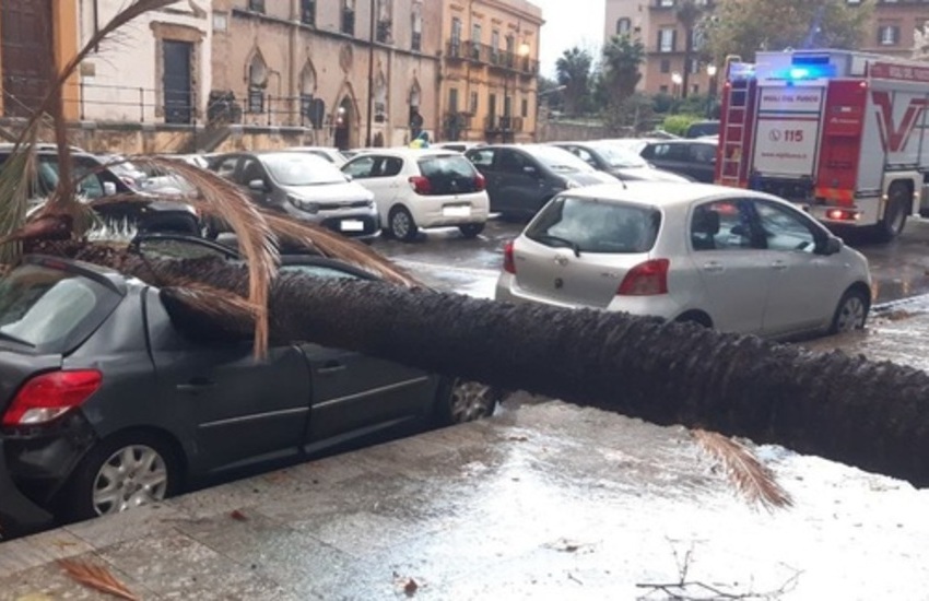 Palermo, una palma cade su un’auto. Paura davanti alla Questura