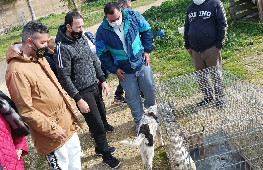 Colletta alimentare ed assistenza agli animali: le attività di impegno civile della cooperativa Beautiful Days a Vittoria e Modica