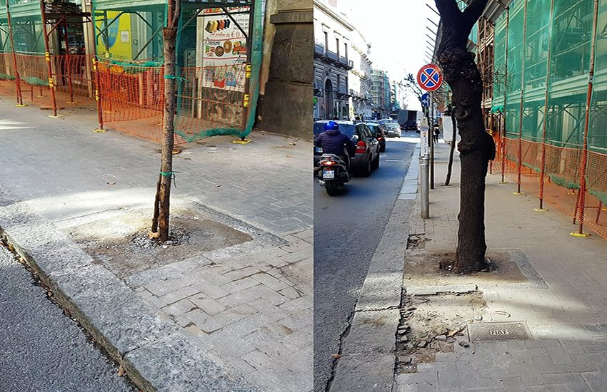 A Catania si cementificano aiuole e alberi