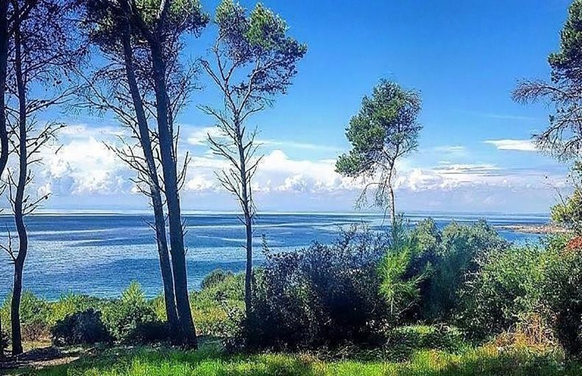 Già 6mila firme per la petizione contro la costruzione di un porto turistico a Torre Blandamura (Link alla petizione)