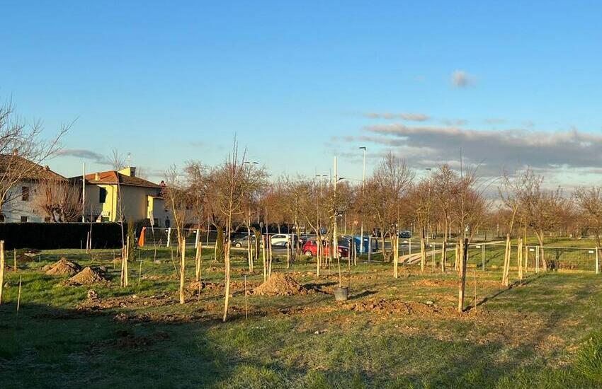 Nuovo parco di San Bartolo a Cintoia: piantati 150 alberi