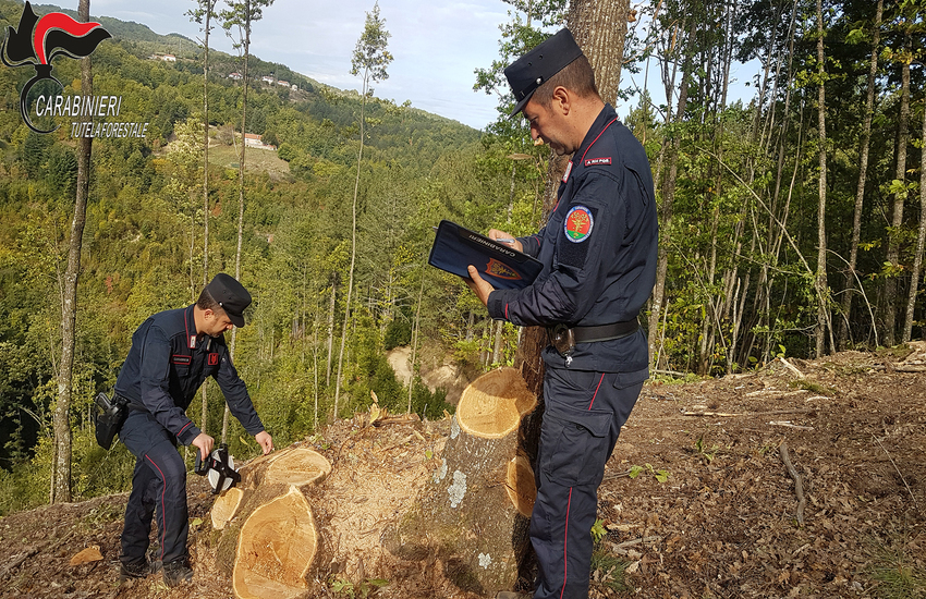 Carabinieri Forestale, il bilancio di un anno di attività al servizio dell’ambiente