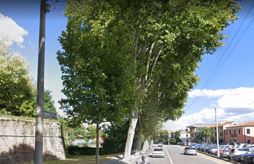 Padova, via Giordano Bruno chiusa al traffico per intervento programmato del Settore Verde