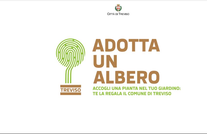 Treviso, “Adotta un albero”: in regalo essenze arboree ai cittadini che ne faranno richiesta