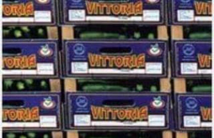 Vittoria, controlli al Mercato Ortofrutticolo. Zarba: “Si tratta di controlli di routine, è tutto nella norma. Ci auspichiamo vengano eseguiti periodicamente”