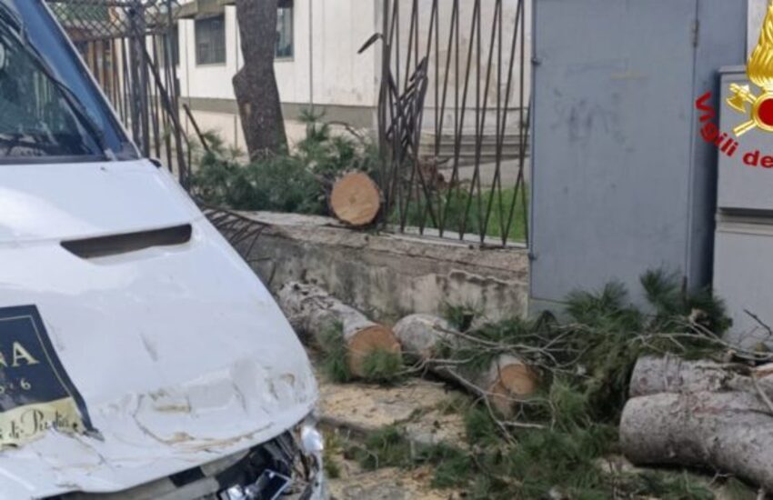 Forti raffiche di vento sul Salento. Danni in tutto il territorio, albero cade su un furgone