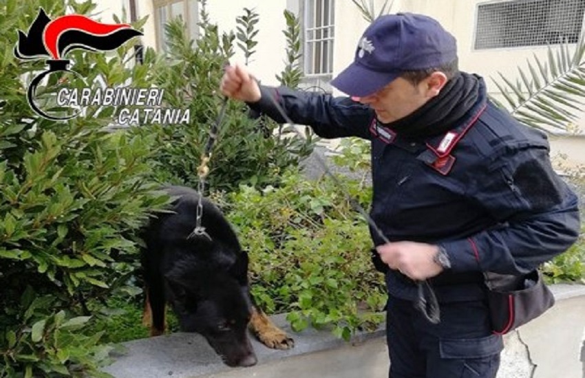 Consegna la droga, ma i Carabinieri ne trovano altra: in carcere 22enne a Zia Lisa