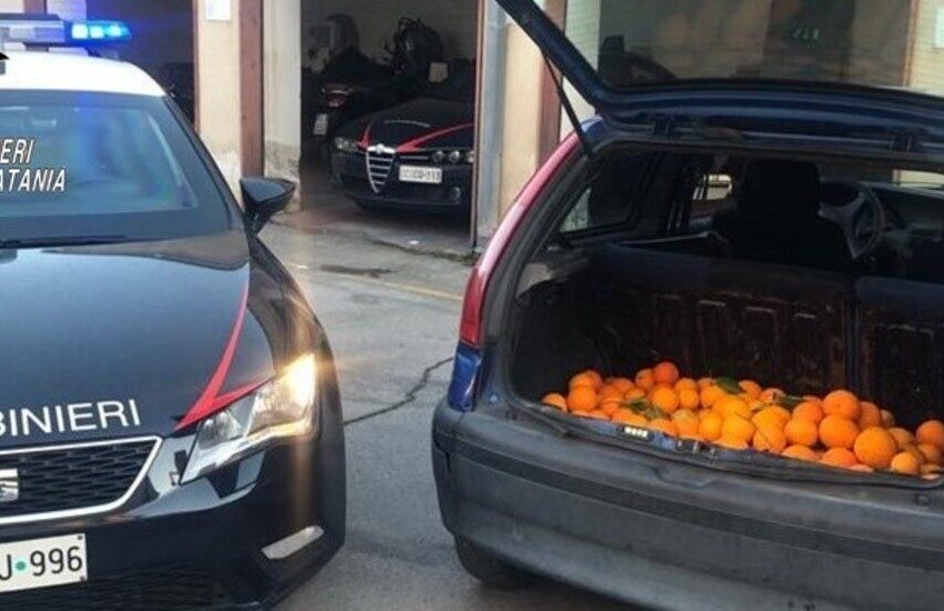 Paternò, fermati con 150 kg di arance rubate. Denunciati in 3