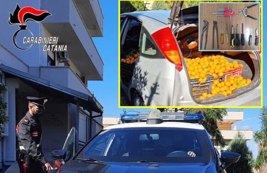 Ramacca, fermato con 150 kg di mandarini rubati. Denunciato 42enne palagonese