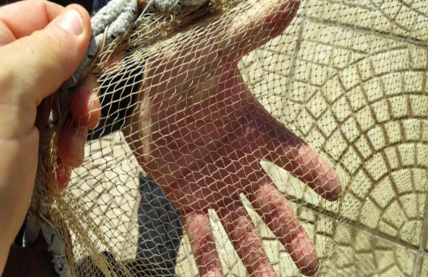 Pesca al “bianchetto”, 5 imbarcazioni bloccate