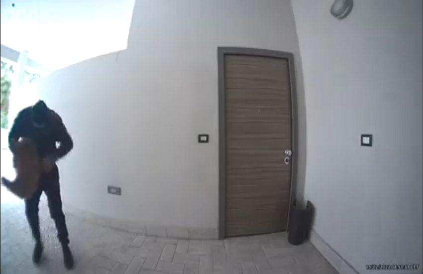 “Aiutateci, hanno rapito il nostro cane”: ecco il video del furto diffuso sui social