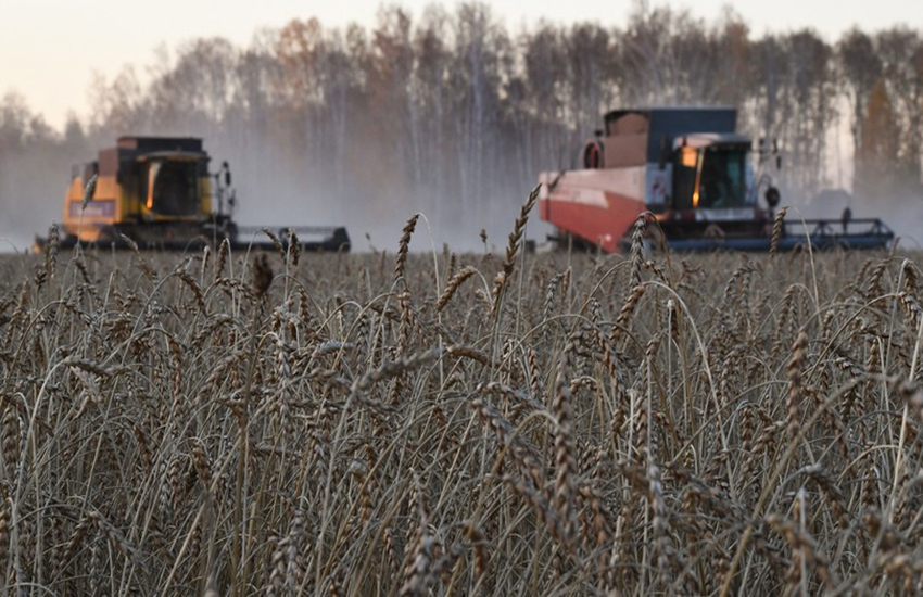 Navi russe vendono grano in Africa rubato in Ucraina: il dilemma dei Paesi più poveri