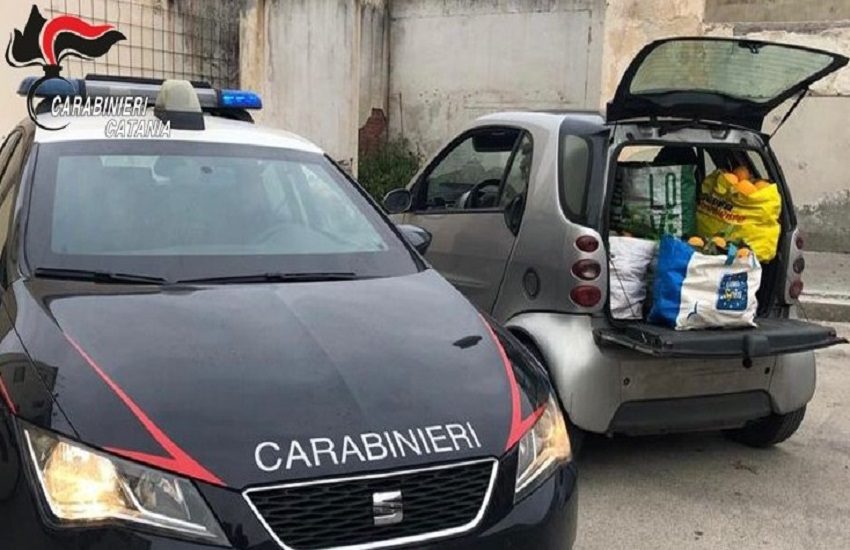 Furti di arance tra Paternò e Motta Sant’Anastasia: 4 persone denunciate