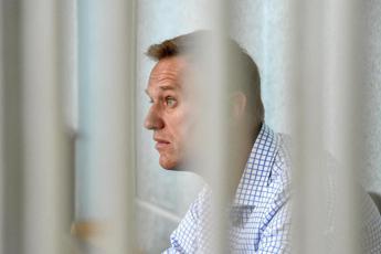 Navalny, gli “abbracci artici e saluti polari” dalla prigione in Siberia
