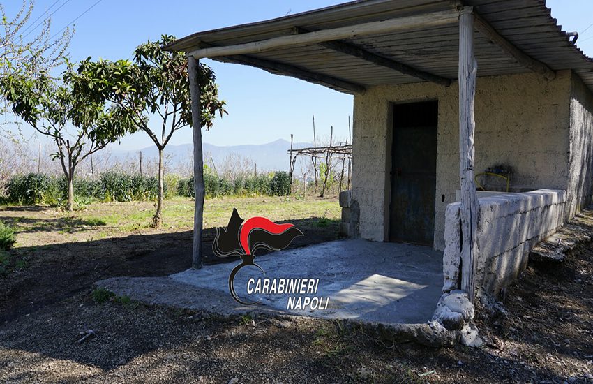 Orrore nel napoletano: fa morire il fratello fra indicibili sofferenze