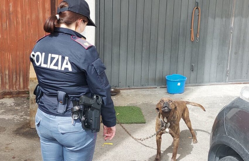Controlli serrati a Librino, teneva animali in condizioni incompatibili