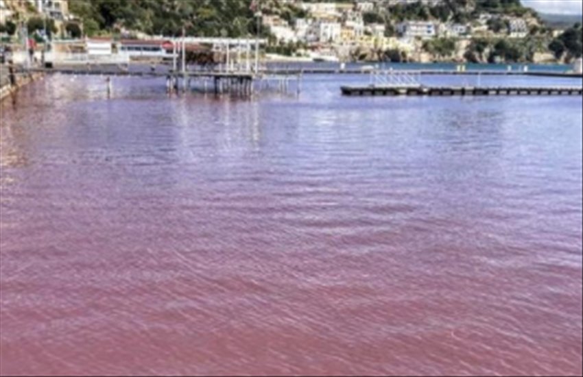 Il mare di Baia diventa rosso: preoccupazione tra i residenti, ma c’è una spiegazione