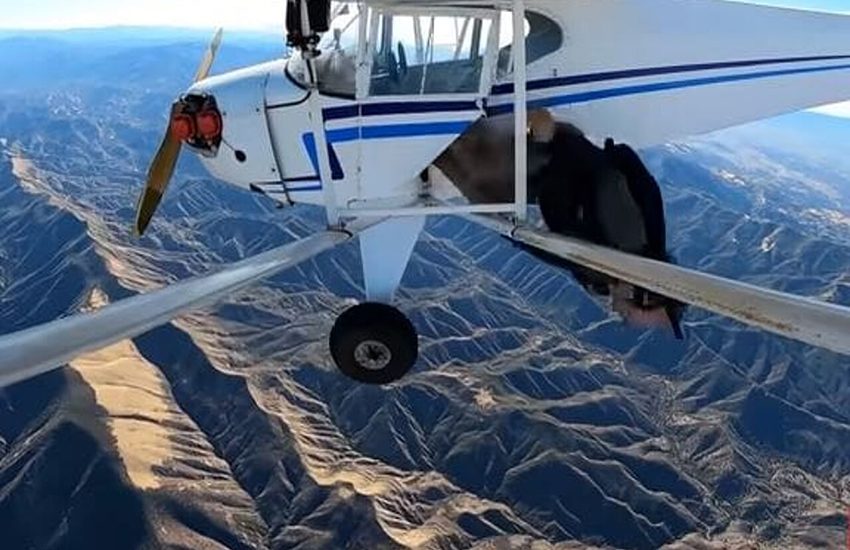 Lo YouTuber che ha fatto schiantare il suo aereo per un video rischia 20 anni di galera