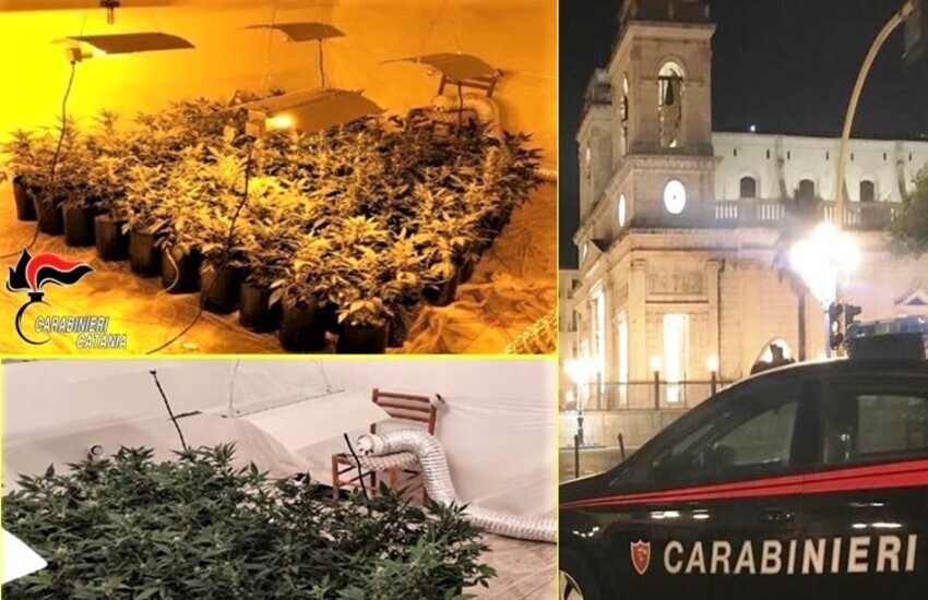 Giarre, in casa maxi serra di 91 piantine di marijuana, arrestato 37enne