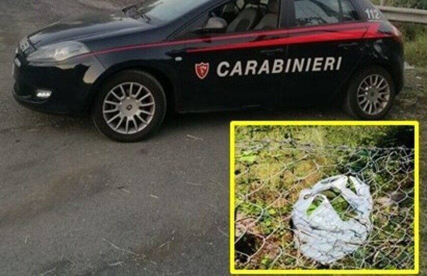 Riposto, ruba 80 chilogrammi di avocadi: arrestato 55enne