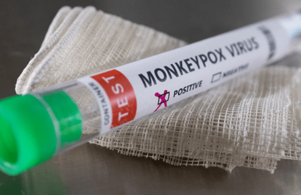 vaiolo delle scimmie