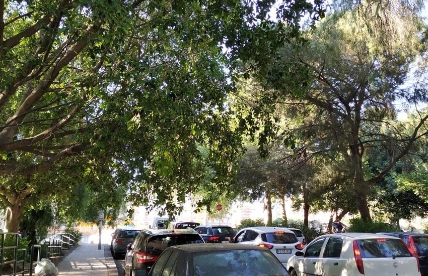 Parco Falcone, in via Sassari e in via V.E. Orlando alberi troppo folti. La segnalazione del Comitato Vulcania
