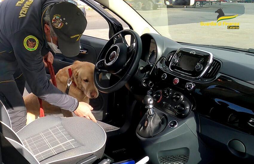 [VIDEO] Catania, sequestrate tonnellate di droga e kalashnikov: 5 arresti