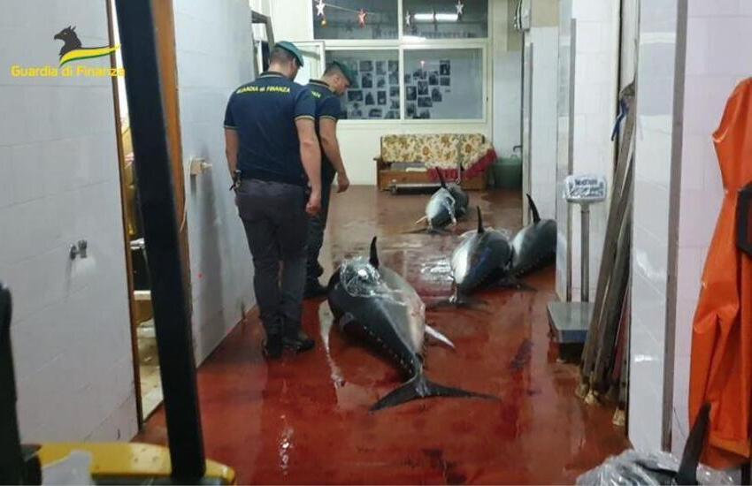 Bagheria, vendeva tonno non tracciato, multato commerciante